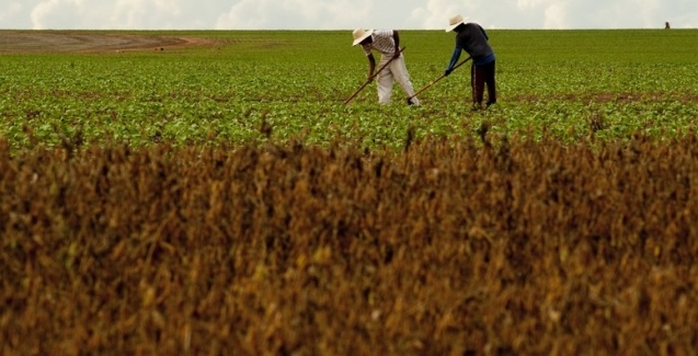 TW Aspas | Seu canal de prosa coerente e Inteligente Confederacao da Agricultura e Pecuaria do Brasil