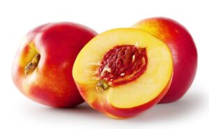 Embrapa nectarina