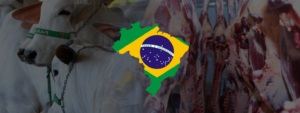 Exportações Brasil