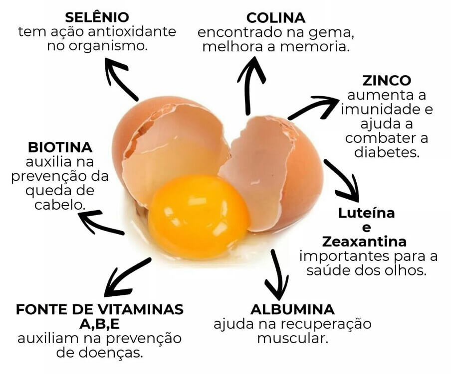 TW Aspas | Seu canal de prosa coerente e Inteligente image 146