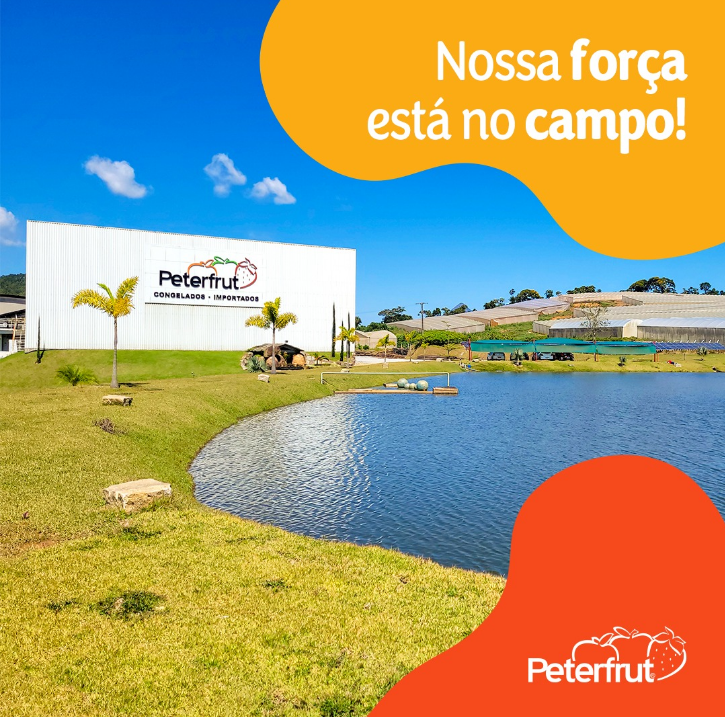 TW Aspas | Seu canal de prosa coerente e Inteligente image 48