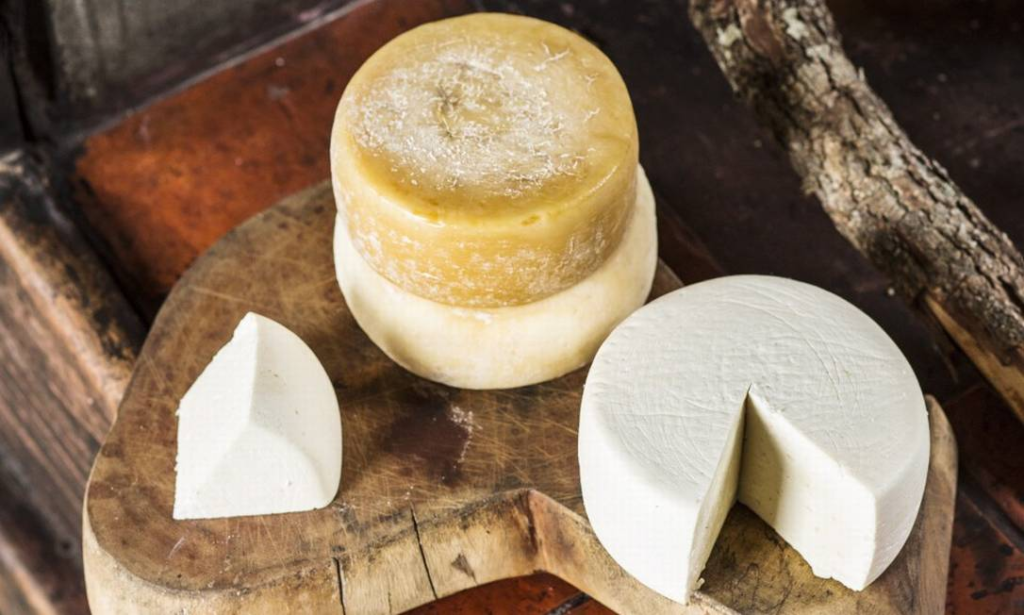 TW Aspas | Seu canal de prosa coerente e Inteligente Para os produtores, a obtenção do selo promete uma valorização de até 30% no preço de seus produtos, um incentivo significativo que reflete a qualidade superior e o sabor único dos queijos. Esse reconhecimento também fortalece a luta contra a falsificação, oferecendo aos consumidores a garantia de que estão adquirindo um produto genuíno e de procedência comprovada.
