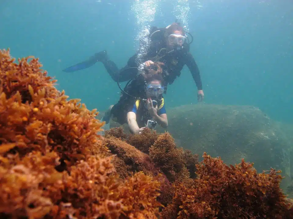 Choveu em Floripa? Não tem problema! Confira 3 aventuras incríveis para fazer em Florianópolis mesmo nos dias de chuva. 