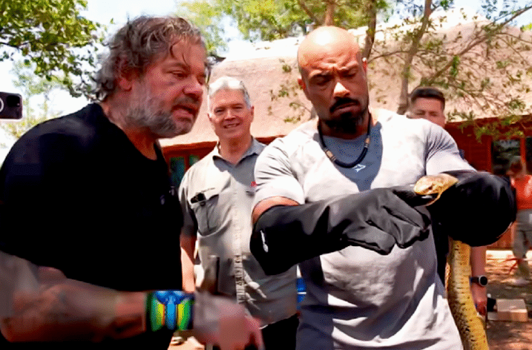 Naja Nivea Morde Luva Inovadora: Biólogo Richard Rasmussen e Julio Balestrin Real1zam Feito Inédito no Safari da África do Sul